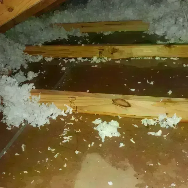 Attic Water Damage in Northampton, PA